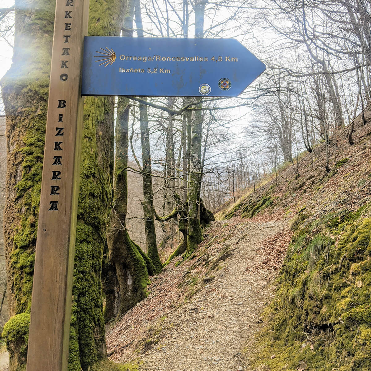 朝聖之路 Camino de Santiago Day 1 - Saint-Jean Pied du Port to Roncesvalles