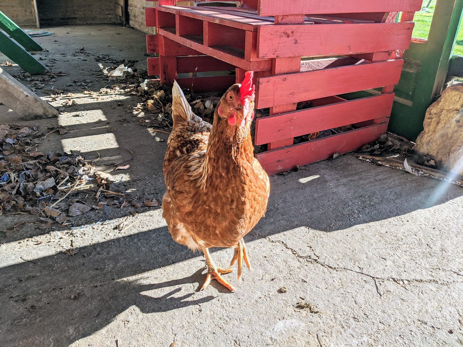 朝聖之路 Camino de Santiago Day 14 - 夫羅米斯塔 (Frómista) to 卡里翁德洛斯孔德斯 (Carrion de los Condes)